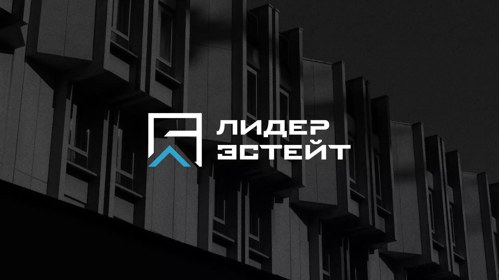 Разработка логотипа агентства недвижимости «Лидер Эстейт» в Заринске